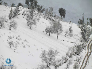 Snow in Ketama Morocco picture and videos