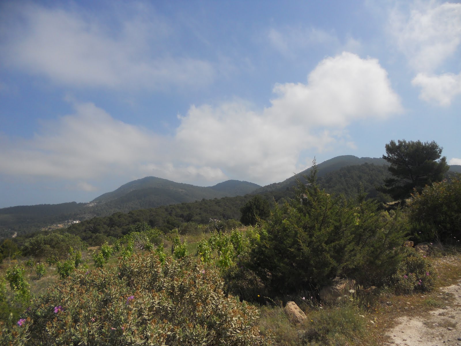 Uncharted "It's pronounced Ibitha"