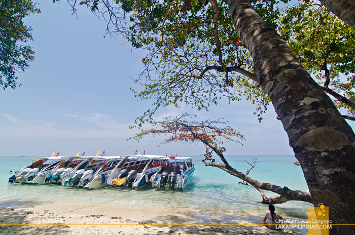 Koh Rok Snorkeling Tour Thailand