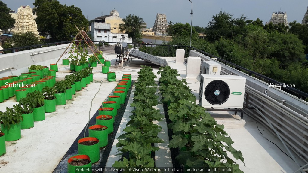 Organic Terrace Gardening Grow Bags Kitchen Garden Coimbatore