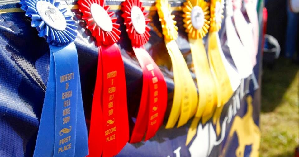 Amanda Garner: Splitting & Combining Classes--IEA Guidelines