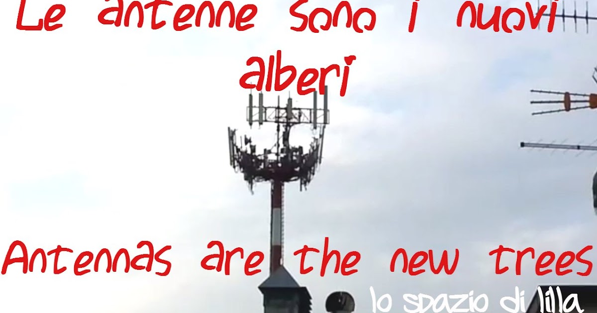 Morsetto Fisso Per Alberi | IT - Foto 11