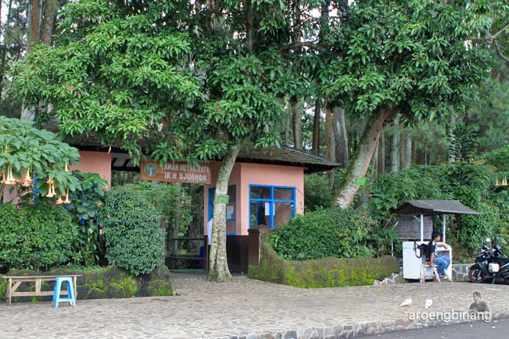 taman hutan raya ir. h. juanda bandung