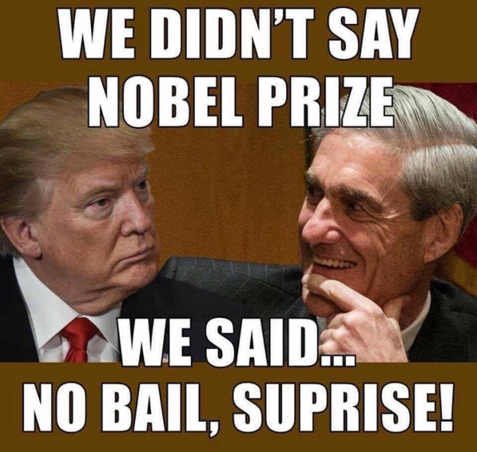 midnight meme of the day shredoftruth com