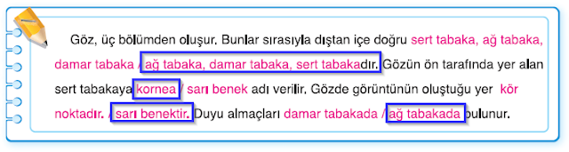 7. Sınıf Mevsim Yayınları Fen Bilimleri Ders Kitabı 57. Sayfa Cevapları Duyu Organları, Organ Bağışı ve Organ Nakli 7. Sınıf Mevsim Yayınları Fen Bilimleri Ders Kitabı 57. Sayfa Cevapları Duyu Organları, Organ Bağışı ve Organ Nakli