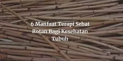 6 Manfaat Terapi Sebat Rotan Bagi Kesehatan Tubuh - Terapi Jarum
