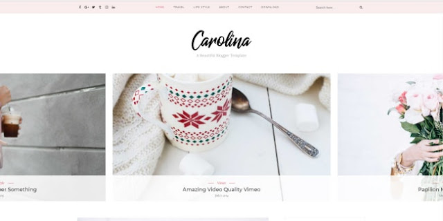 Carolina blogger template 2018
