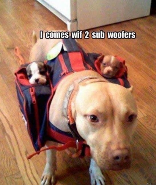 it-comes-with-two-subwoofers.jpg