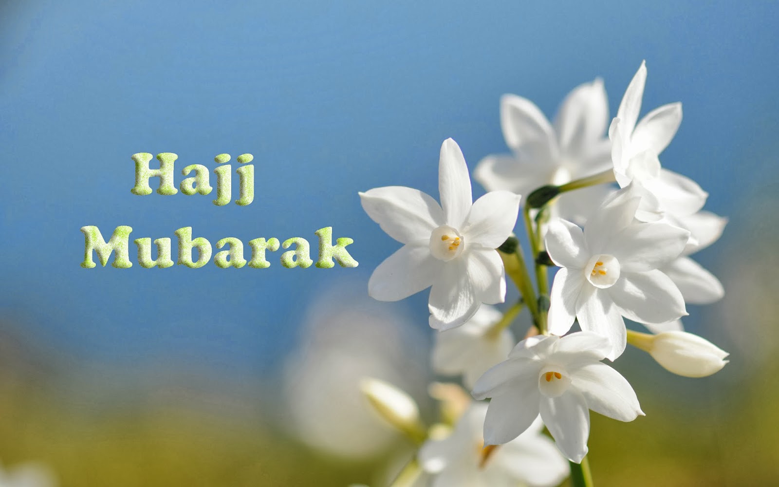 Latest Hajj Greetings,Happy Hajj Wishes | Free World Festivals