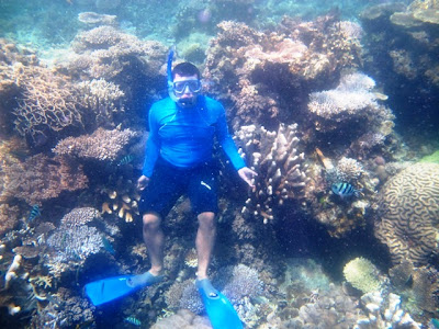 Snorkeling di terumbu karang