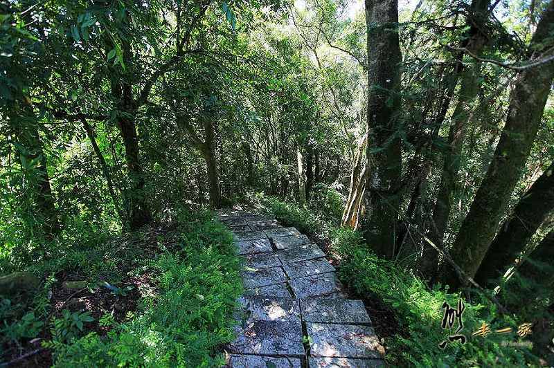 天空步道|莫那魯道巨人像|賽德克故事館|滴水觀音|泰雅渡假村|南投私房景點