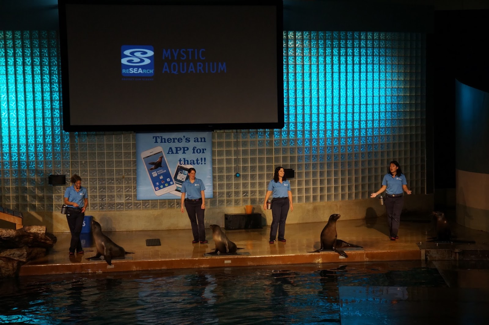 Evan and Lauren�s Cool Blog 8/15/16 Mystic Aquarium So