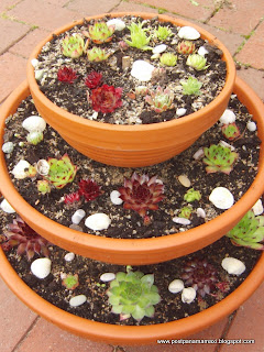 Postpanamamaxi: Gartenideen