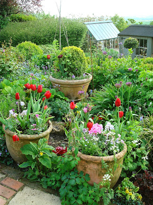 home and beautiful gardening