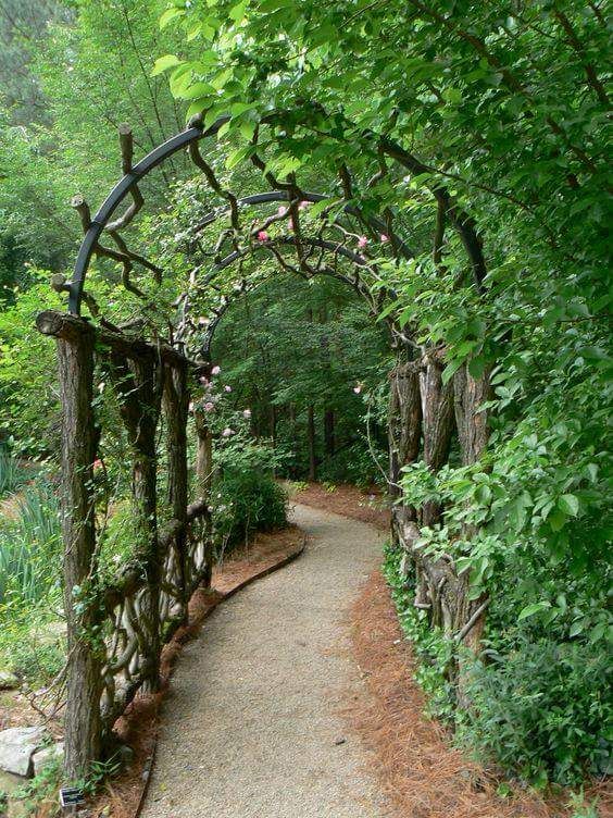 Living Willow Tunnel For Garden and Backyard Everything About Garden