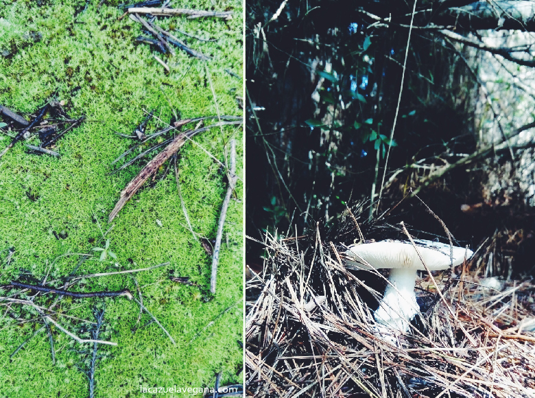 Garbanzos choriceros veganos