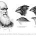 Corrigindo uma extrapolação dos trabalhos de Darwin: bico das aves vs ecologia alimentar