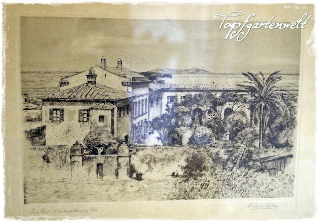 Stich Villa von Napoleon auf Elba