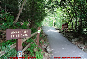 Anna Ruby Falls Trail Georgia