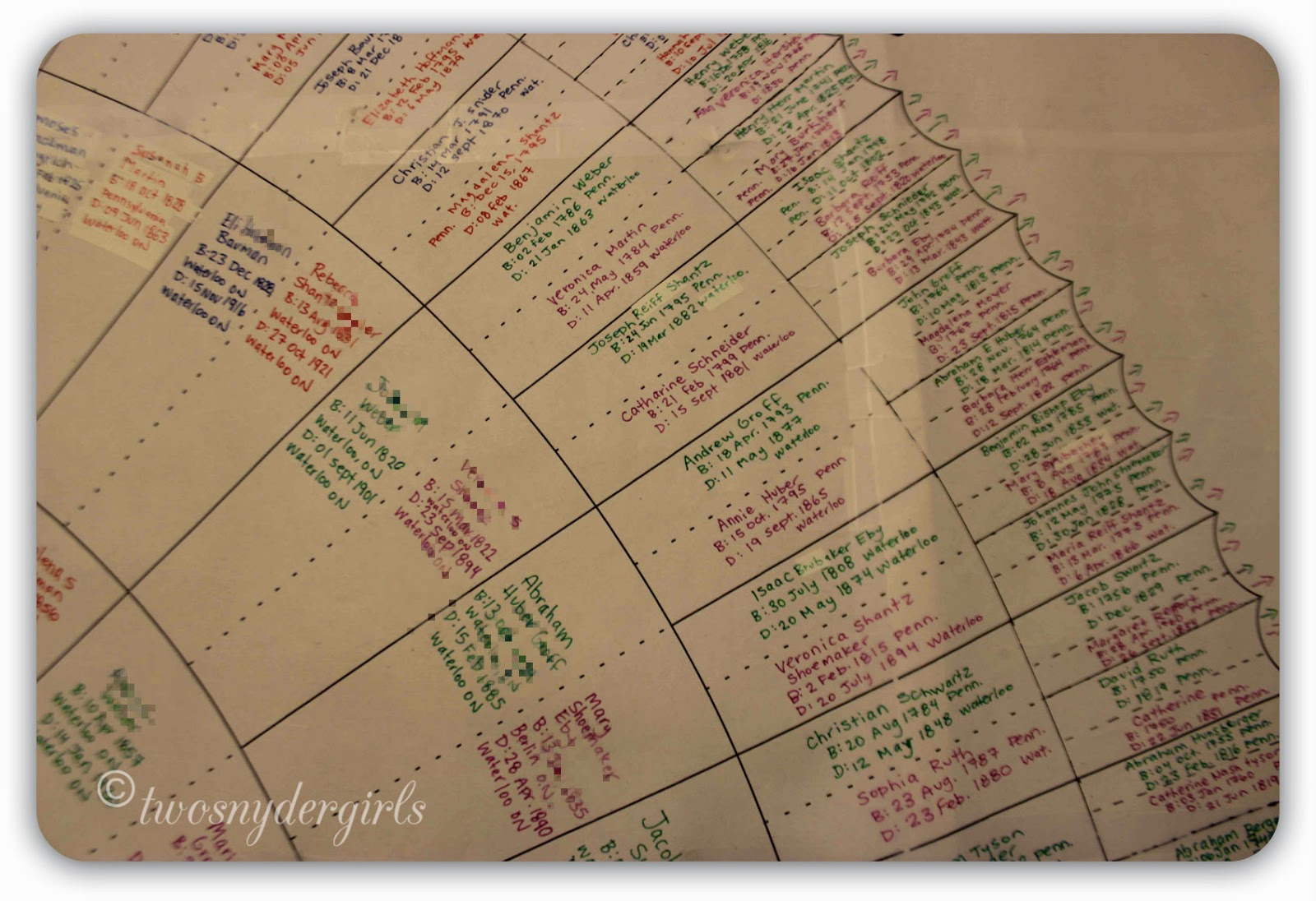 Circular genealogy Circular genealogy
