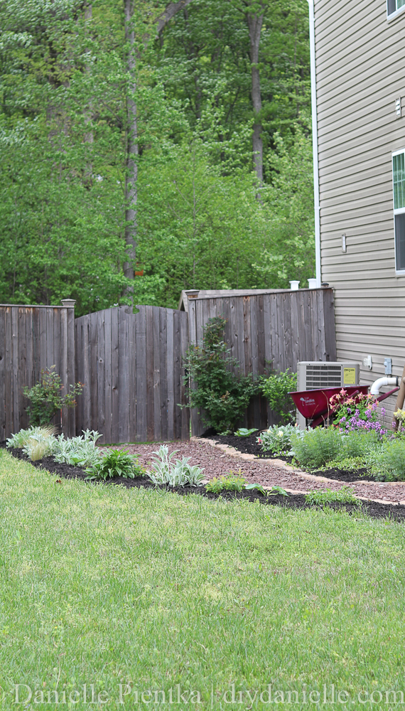 Larger view of the garden and path leading to the fenced backyard. Larger view of the garden and path leading to the fenced backyard.
