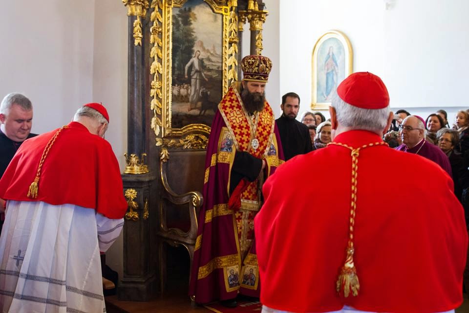 CANTUS CATHOLICS EPUB CANTUS CATHOLICS EPUB