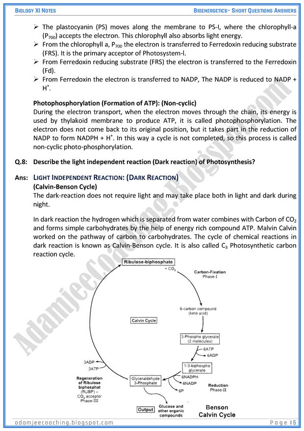 bioenergetics-short-question-answers-biology-11th
