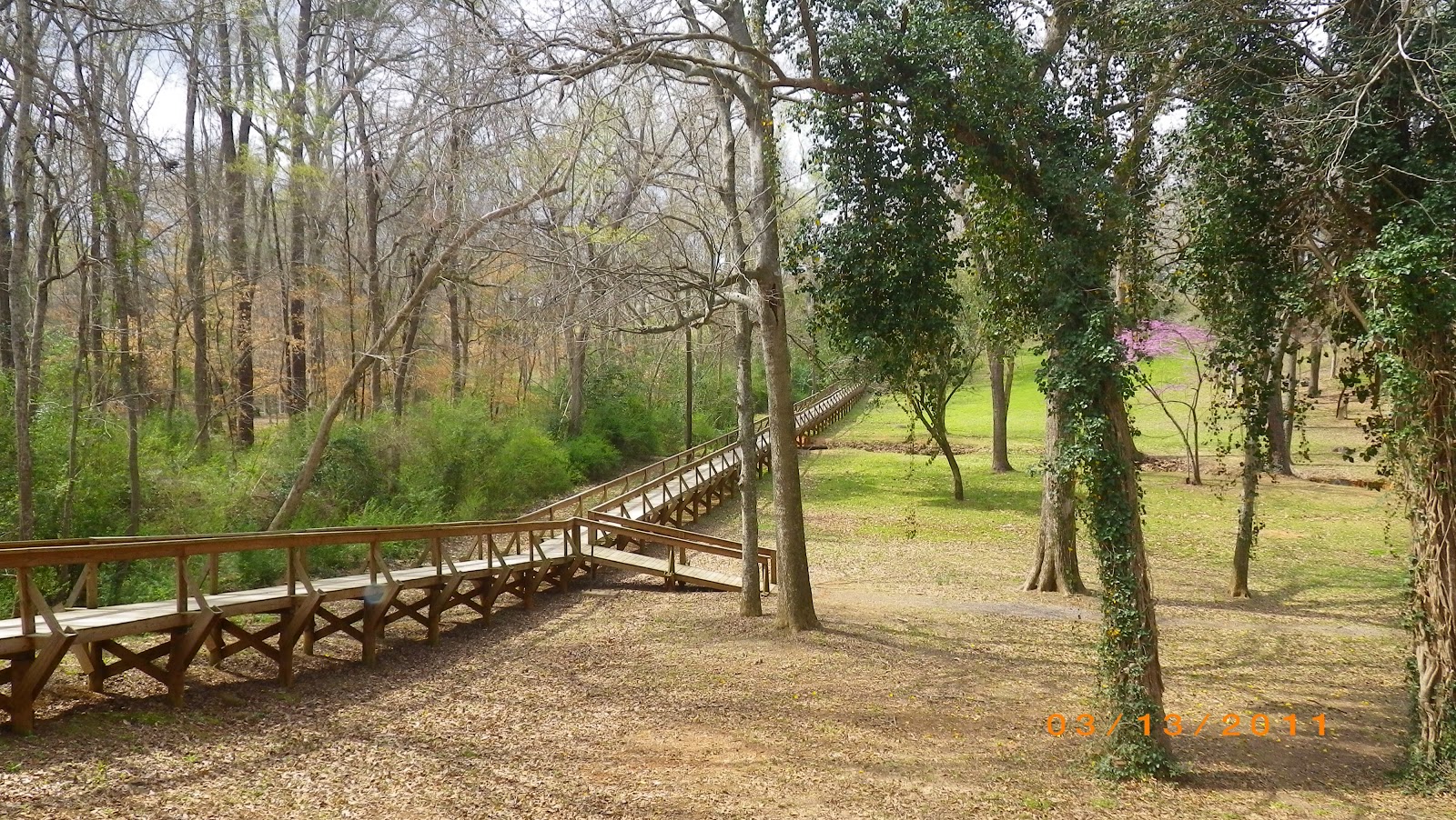 Texas Courthouse Tour March 13 ESBCCT Palestine, Rusk, Henderson