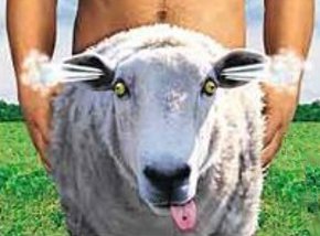 sexy+sheep.jpg