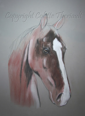 Horse Painting portrait commission in progress by Animal Artist Colette Theriault