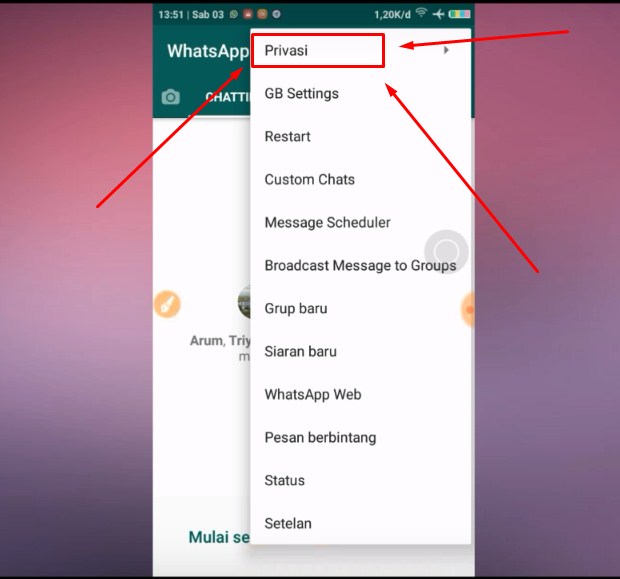 Langkah Ketiga Supaya WA Terlihat Offline Saat Chatting Langkah Ketiga Supaya WA Terlihat Offline Saat Chatting