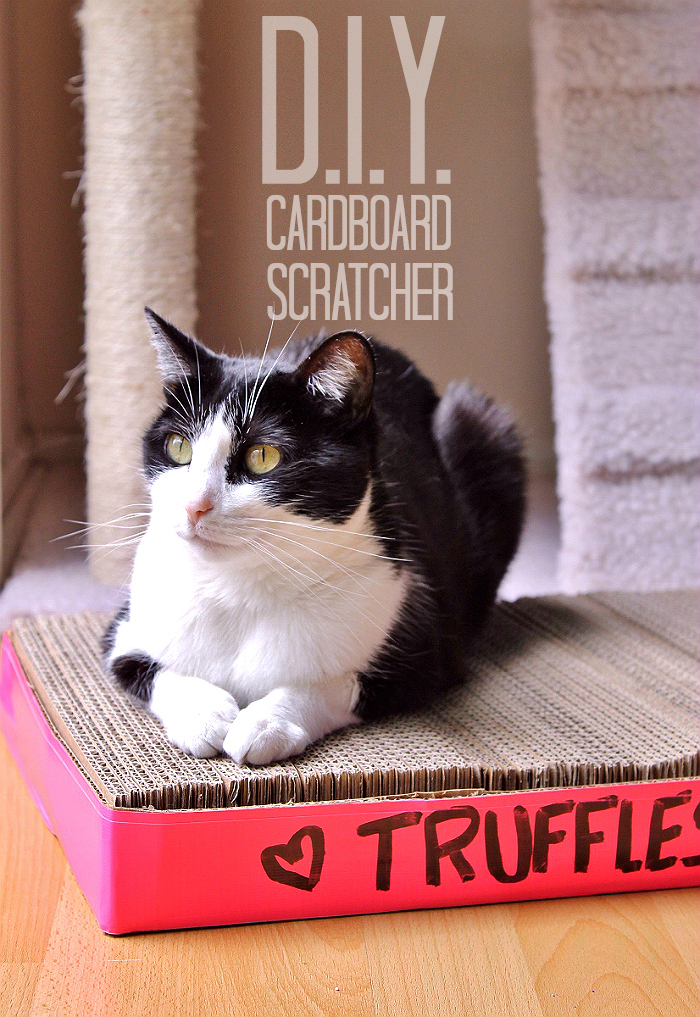 D.I.Y. Cardboard Cat Scratcher Tutorial- Easy and almost free! #IAMSCat (AD)