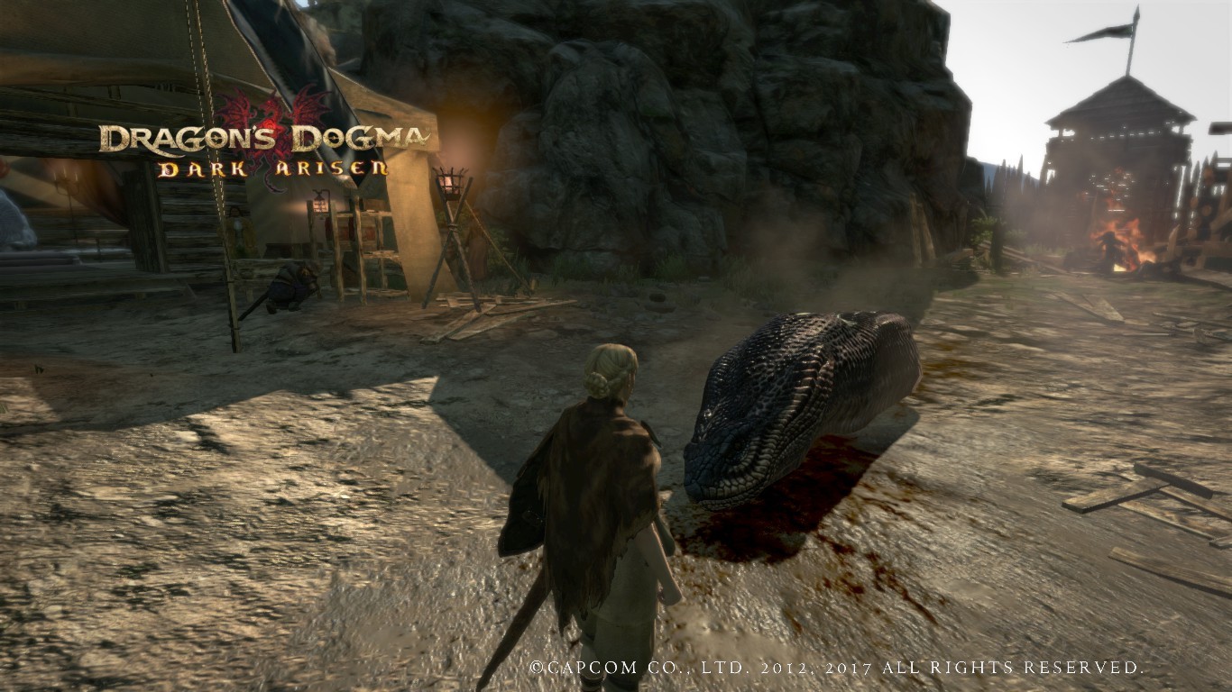 Modded Dragon's Dogma is really nice