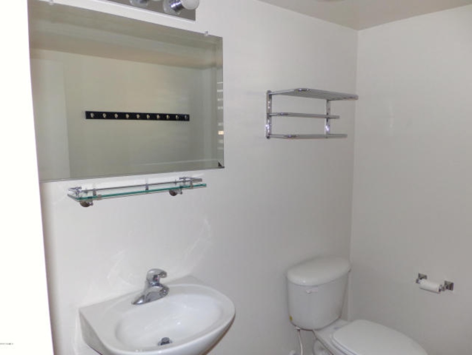 The Thrifty Snob Turning a half bath into a full bathroom