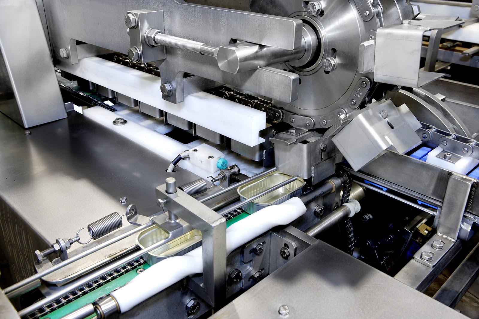 Canned Sardine Production Line Process Live Fresh Mud Crabs, Mud Crab Farming In Indonesia