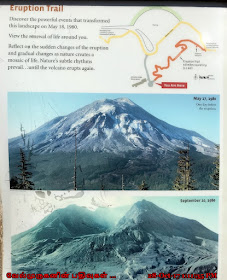 Johnston Ridge Eruption Trail