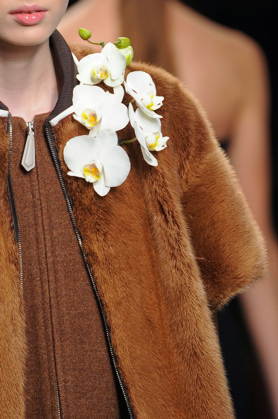Fashion Show: Fendi Fall/Winter 2014/15