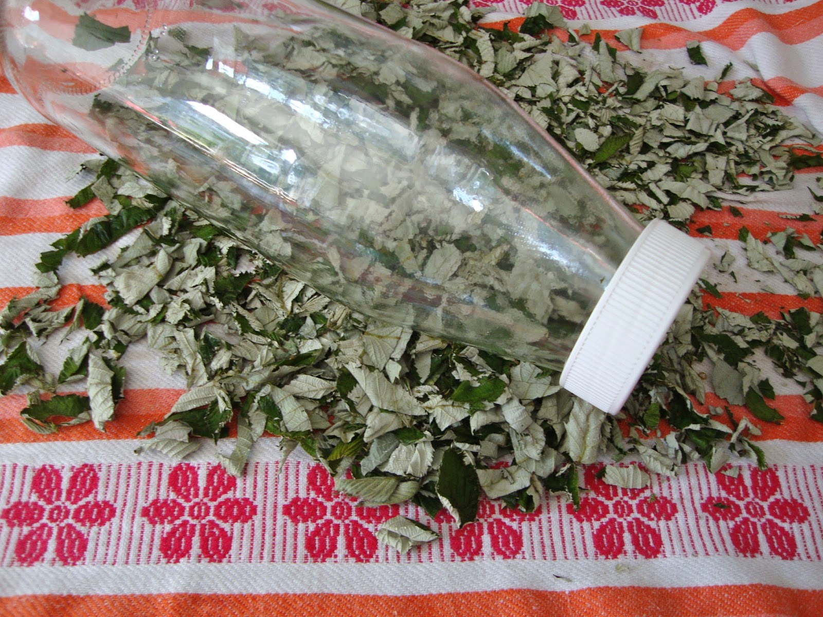 Cooketteria: Fermentierter Brombeerblättertee (funzt auch mit Himbeer ...