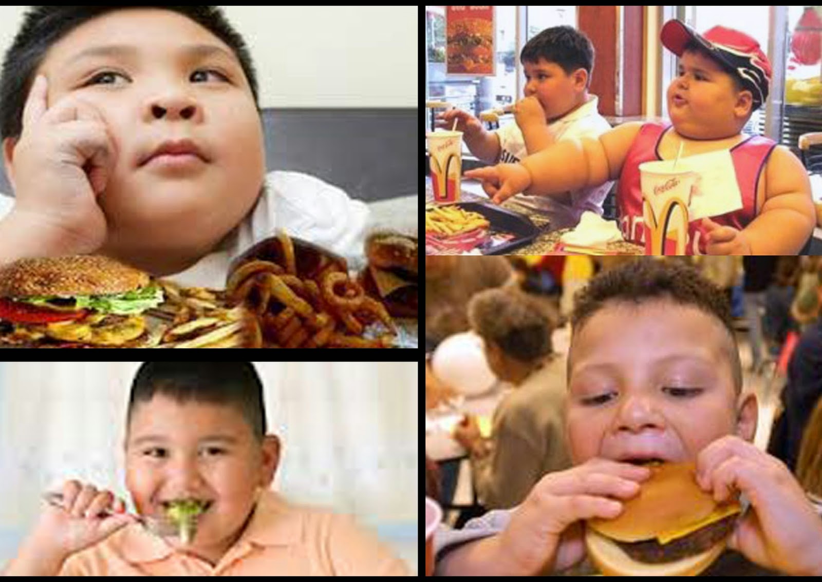 the-best-articles-about-quraanic-fruits-and-health-fast-food-and-its