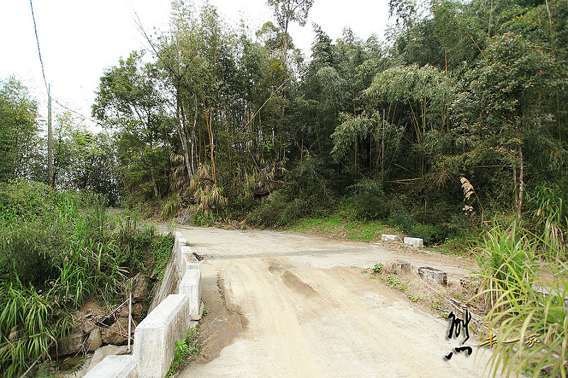 奮起湖石棹景點|龍雲休閒農場森林步道|鐵達尼石 五彩石