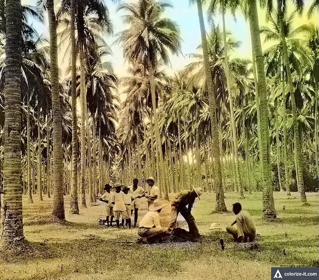 Colorized version of the top picture courtesy of Algorithmia. Colorized version of the top picture courtesy of Algorithmia.