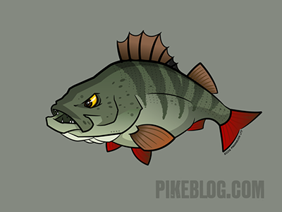 FISH REAPER t-shirt predator zander perch bass pike hunter fly fishing