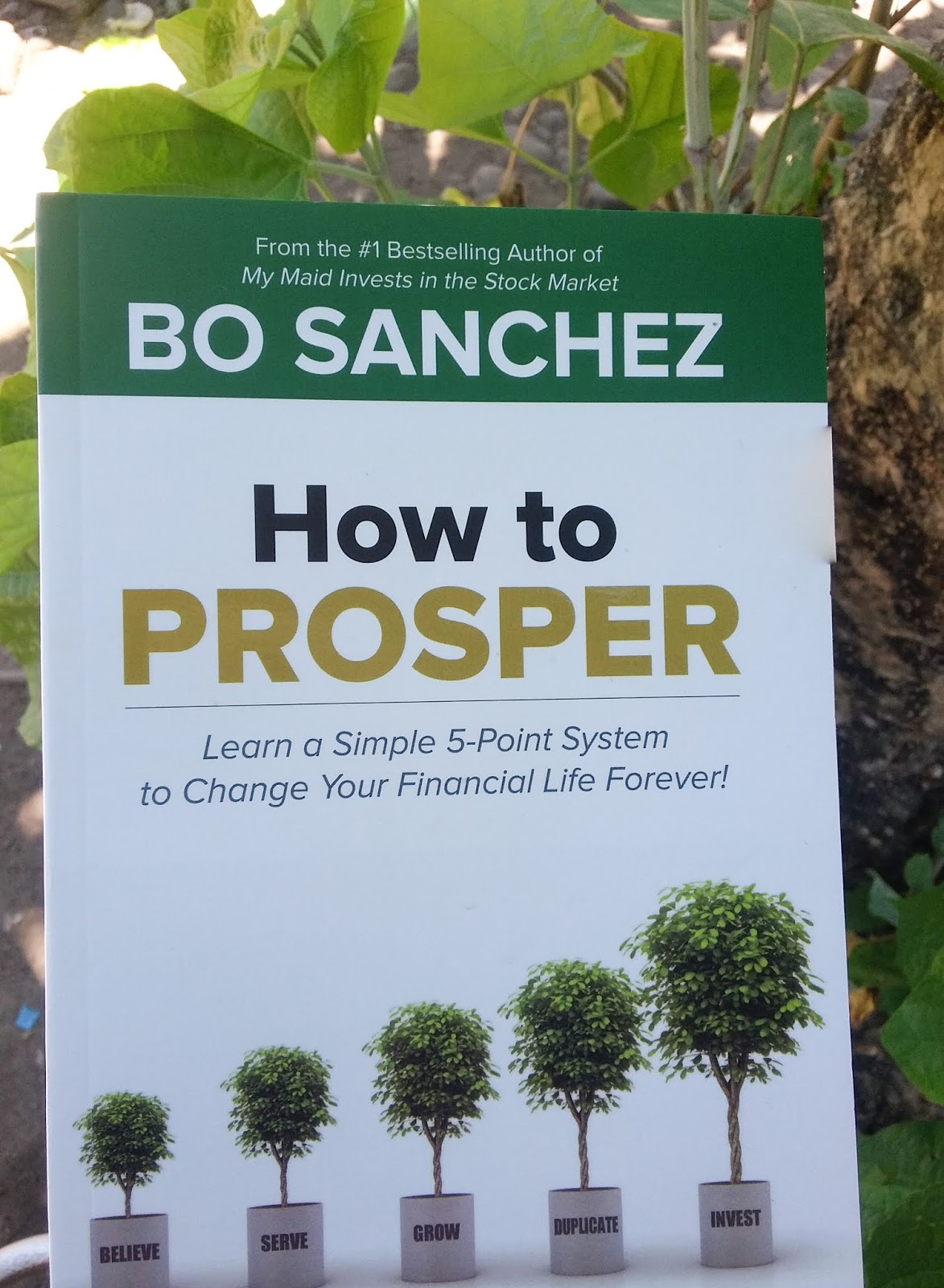 How To Prosper? Everything About Chrysty