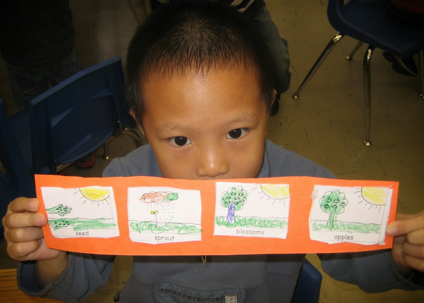 Stadium Library Goings-On: AM K Apple Tree Sequencing