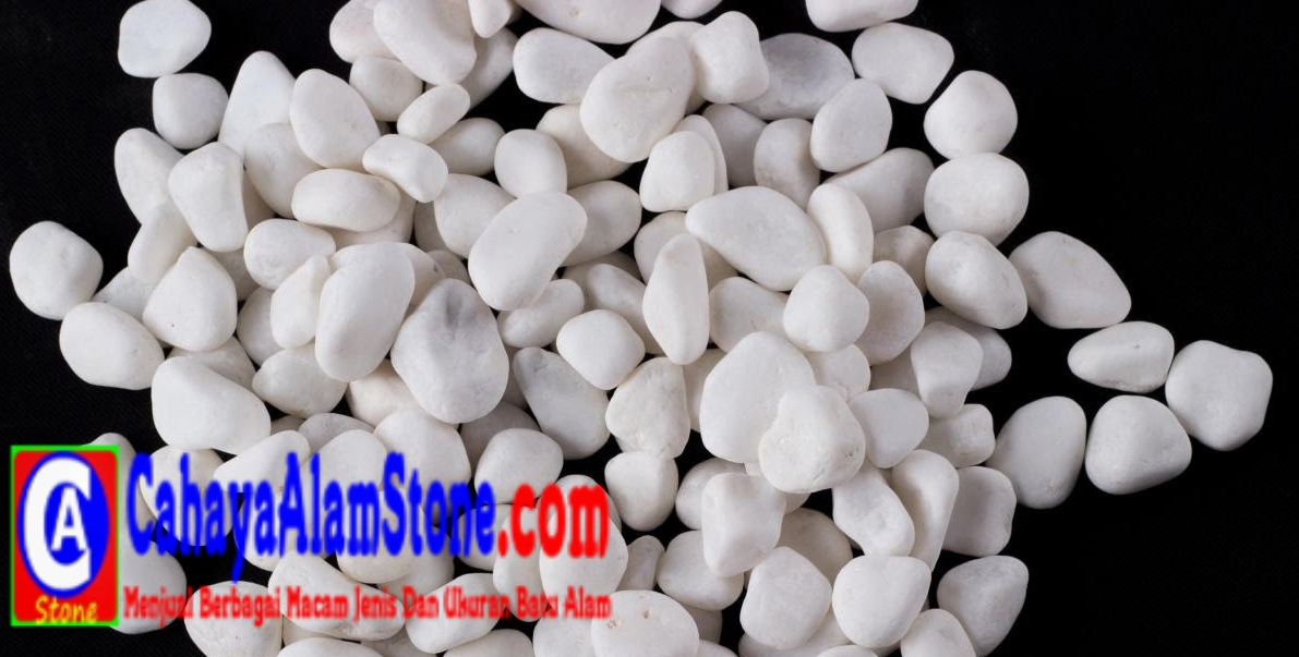 jenis koral sikat dan daftar harga batu koral sikat batu jenis koral sikat dan daftar harga batu koral sikat batu