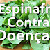 Os benefícios do Espinafre para a saúde - Previne câncer!