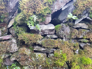 Inspirational Gardens in London. England and around the world