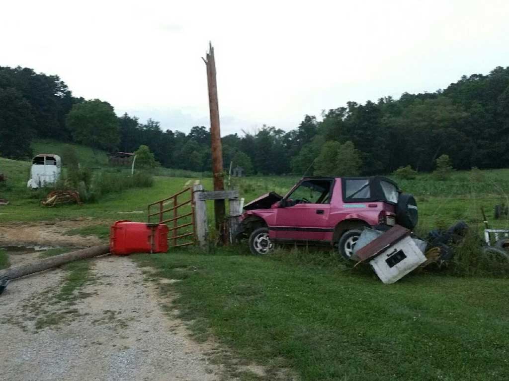 Kentucky Car Crash Bees Kentucky Car Crash Bees