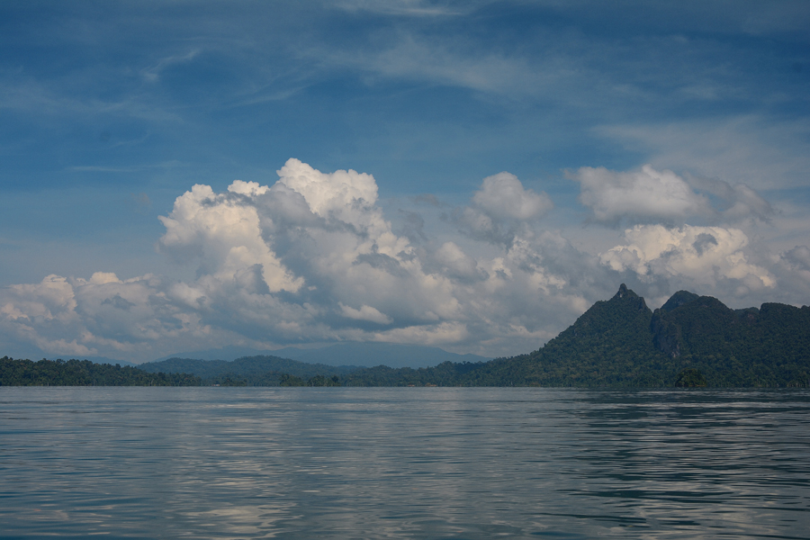 dżungla khao sok, tojlandia dżungla khao sok, tojlandia