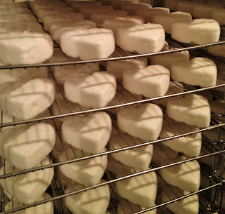 neufchatel, fromage neufchatel, fromage en forme de coeur, fabrication fromage, fabrication neufchatel, fromage normand, fromage pays de bray, blog fromage ,blog fromage maison, faire son fromage, cuisine fromage, laiterie de paris, fromagerie paris, voyage fromage, tour du monde fromage, pierre coulon
